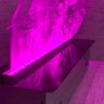 Паровой биокамин Aquaflame 800 фото 23